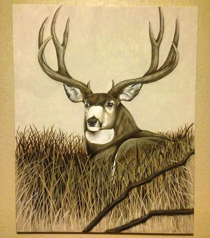 Resting Mule Deer - Original Painting